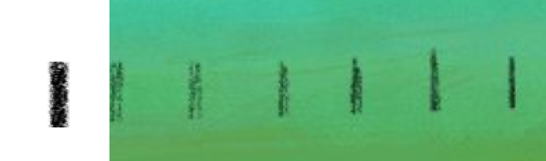 BlockSlush's tweet photo. @koreanitoshikis THIS IS SO COOLL, I love the sort of crayon brush you used, and how its super evident that the fence posts for instance are like one stroke dashes! Super cool, minimalist stuff! https://t.co/cMUUjytksC