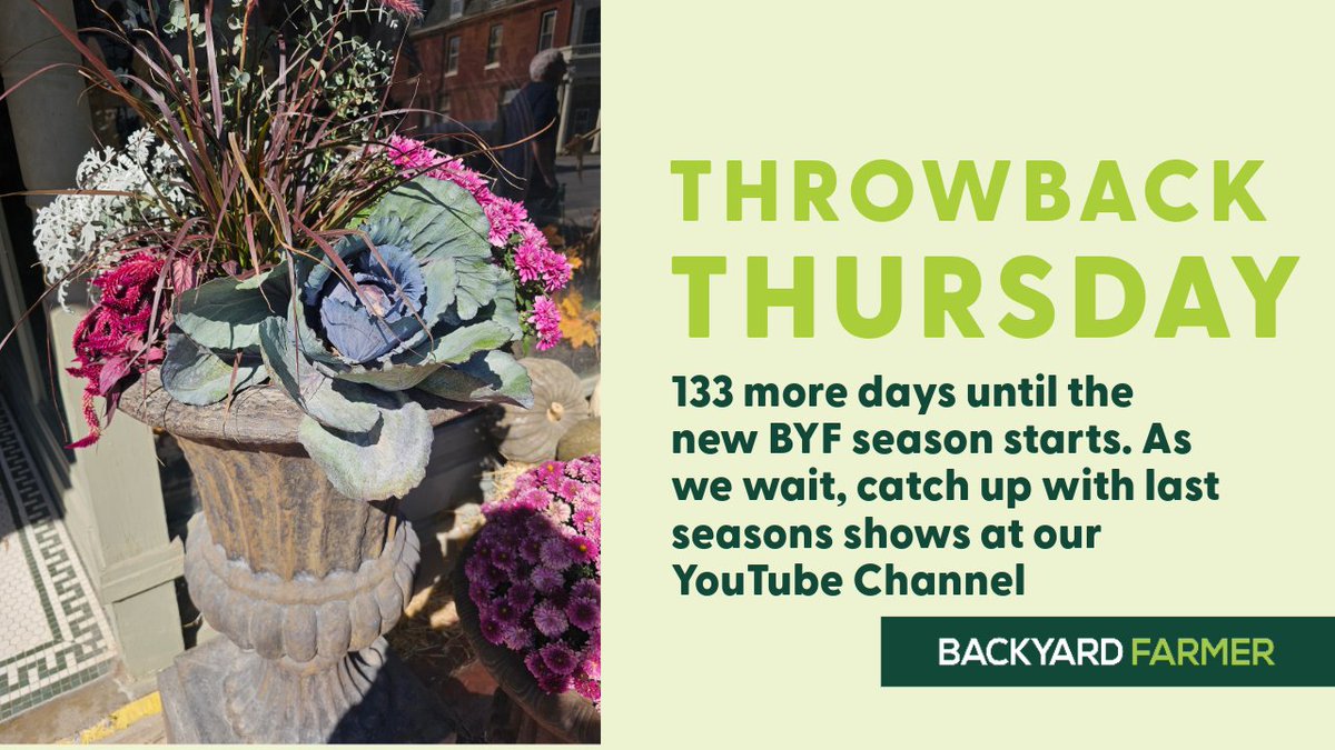 #BYF Throw Back Thursday youtu.be/0C0w2kdb5mY?si… Stay connected with #BYF throughout the winter on their YouTube channel 📷go.unl.edu/byfyoutube #NEBEXT #plantsmakepeoplehappy #naturenevercloses #plantgeek