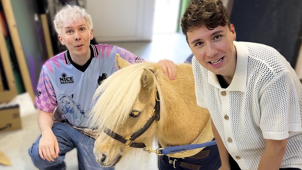 A DAY IN THE LIFE OF DAN AND PHIL AND A TINY HORSE 🐴✨ youtu.be/pbE1u_SgiOA