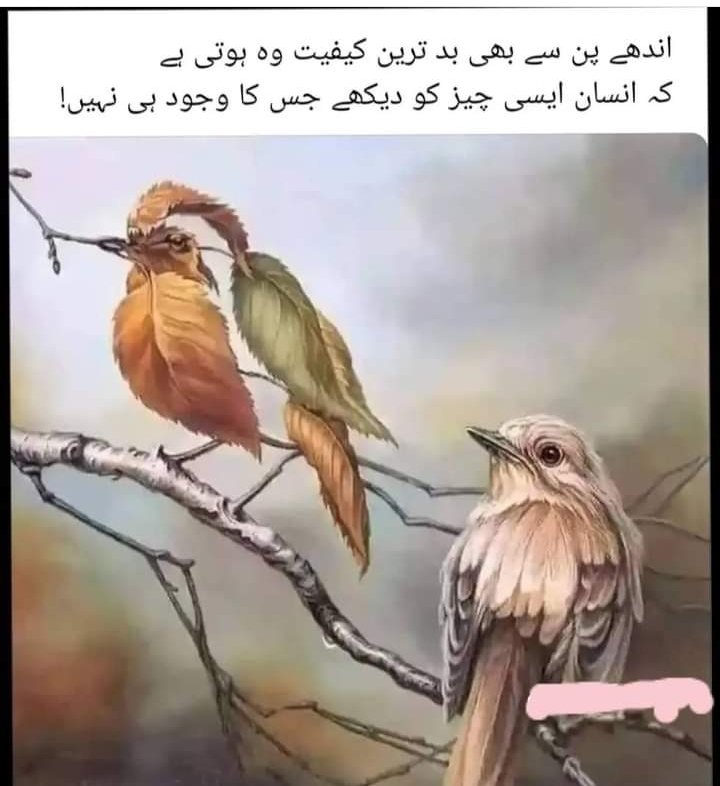 GullGee66's tweet photo. شب بخیر 🌙 https://t.co/7ldRBzK5Nk