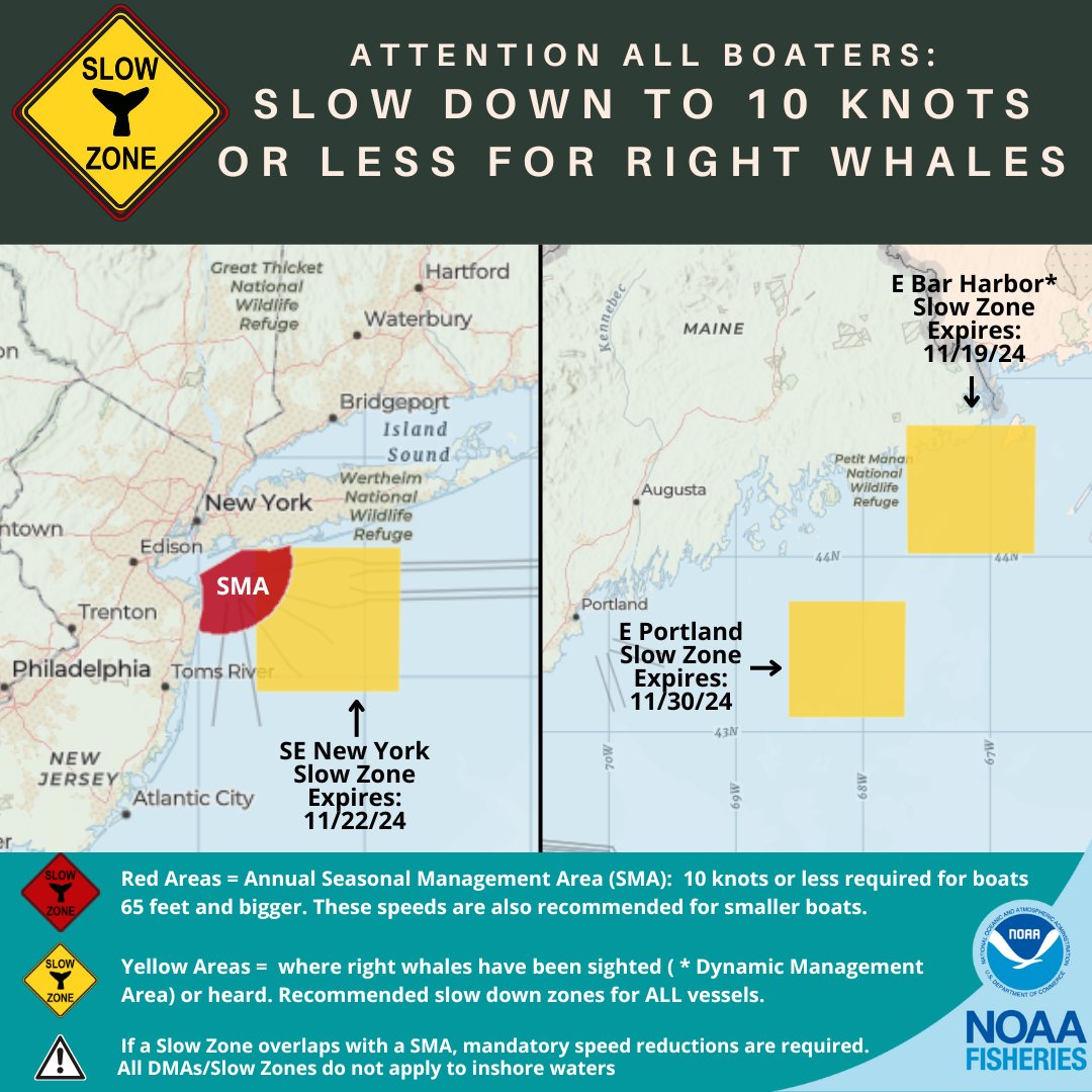 NOAAFish_GARFO's tweet photo. Extension of #RightWhale #SlowZone: E Portland, Maine - Effective through November 30. Mariners are requested to avoid or transit at 10 kts or less. See map for location of all the Slow Zones. Sign up for alerts here: https://t.co/P2hNUeZsiL https://t.co/rIcC8SU0UQ