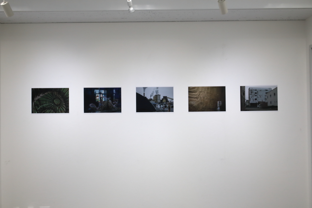 Toshi32746454's tweet photo. 本日も、写真展「第四病棟」、11時開場です。
22日までの期間中、在廊予定は無く、ゆっくり作品をご覧いただけます。
https://t.co/Ynf2vYWKpz
Toshi展「第四病棟」
2024年11月5日(火)~22日(金)
時間:11:00~18:30
休廊:日曜日・月曜日・祝日
#第四病棟 #FourthWard #igphotogallery #Toshi https://t.co/CP30nRnbUm