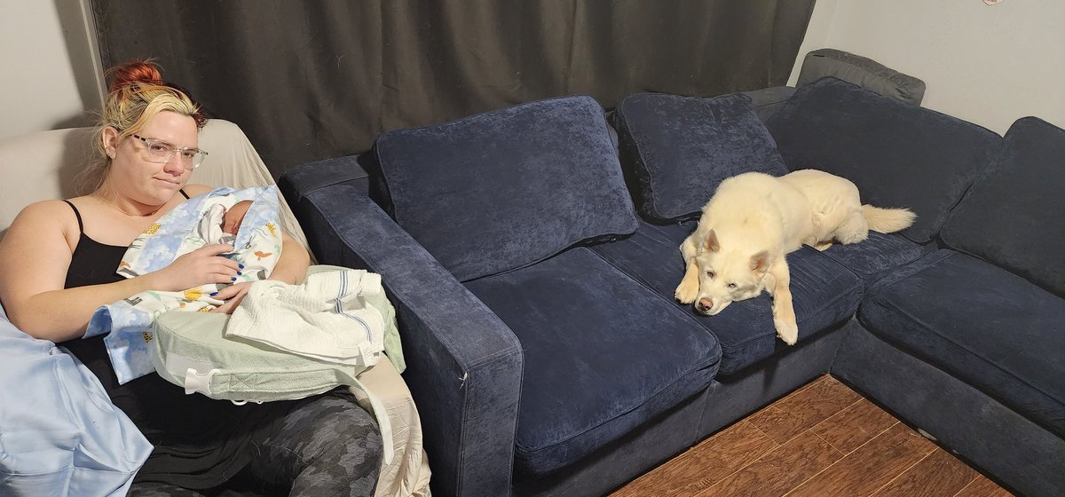 Capt_FluffyBubbles tweet media