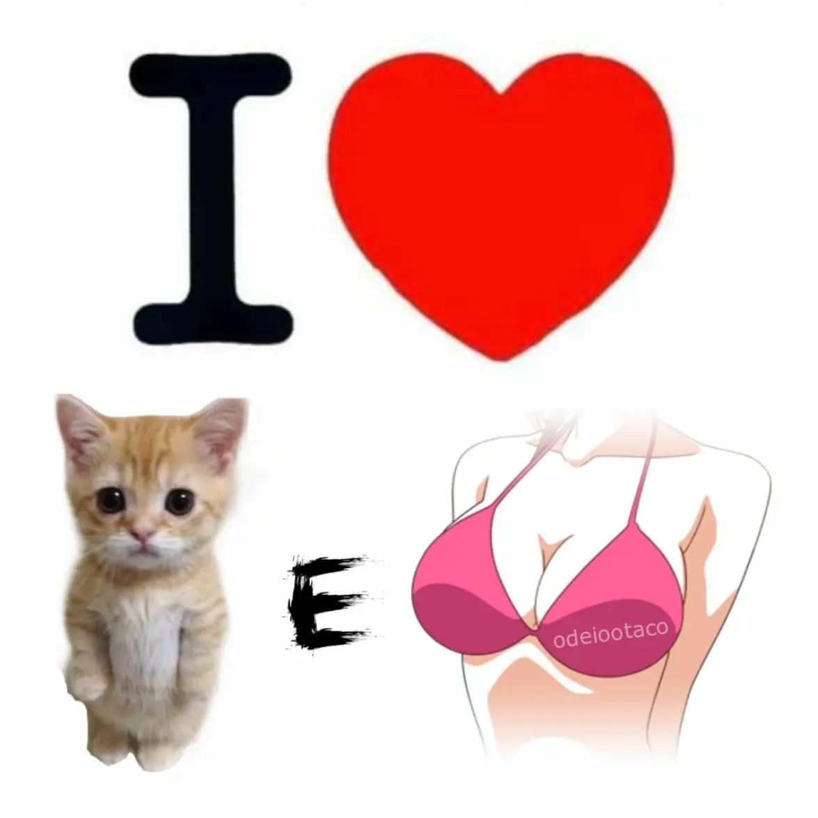 odeiootaco tweet picture