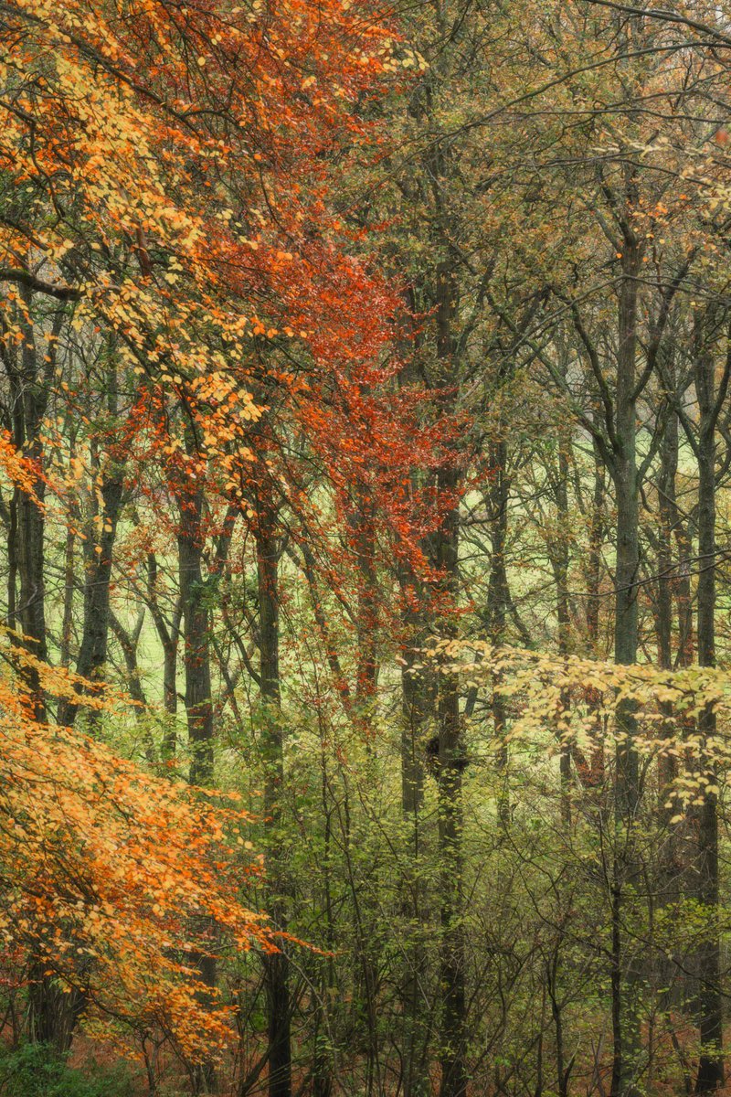 Shropshire in Autumn.