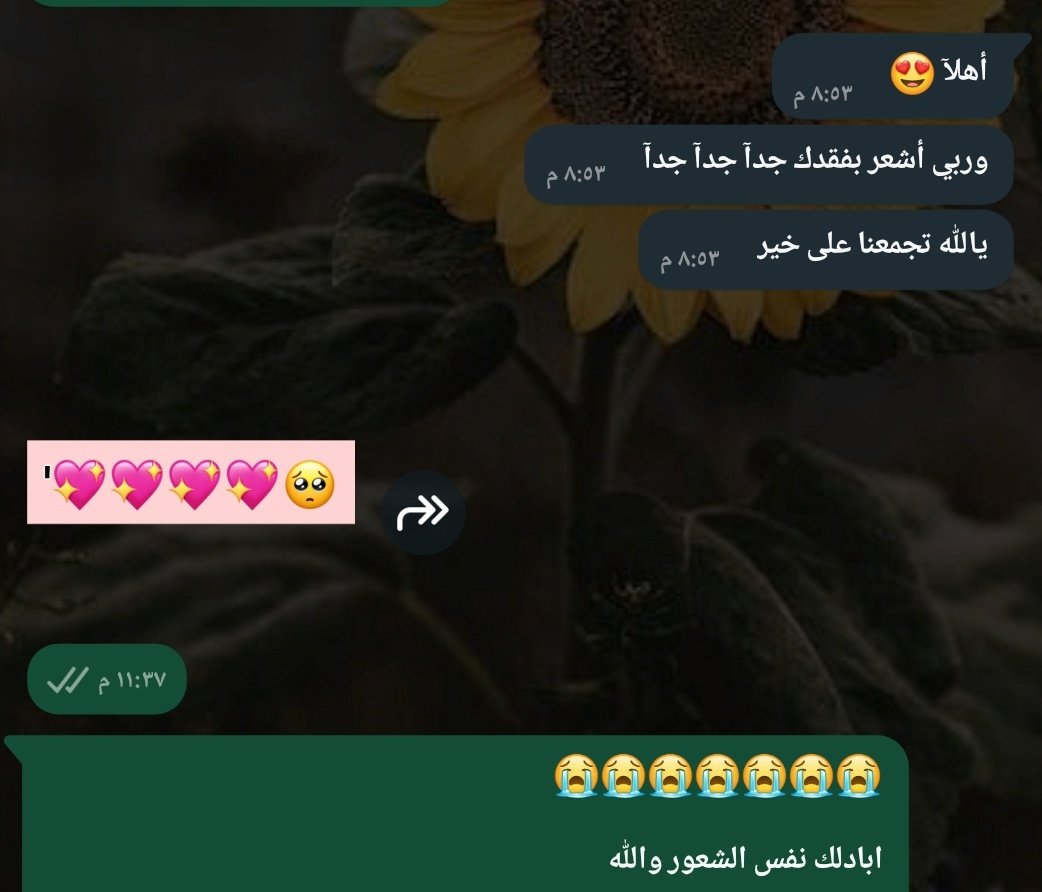 Amnah56's tweet photo. وتأتيك رسالة كبلسم لقلبك لا حرمني الله صحبة الأوفياء❣️ https://t.co/SEIfeqwKts