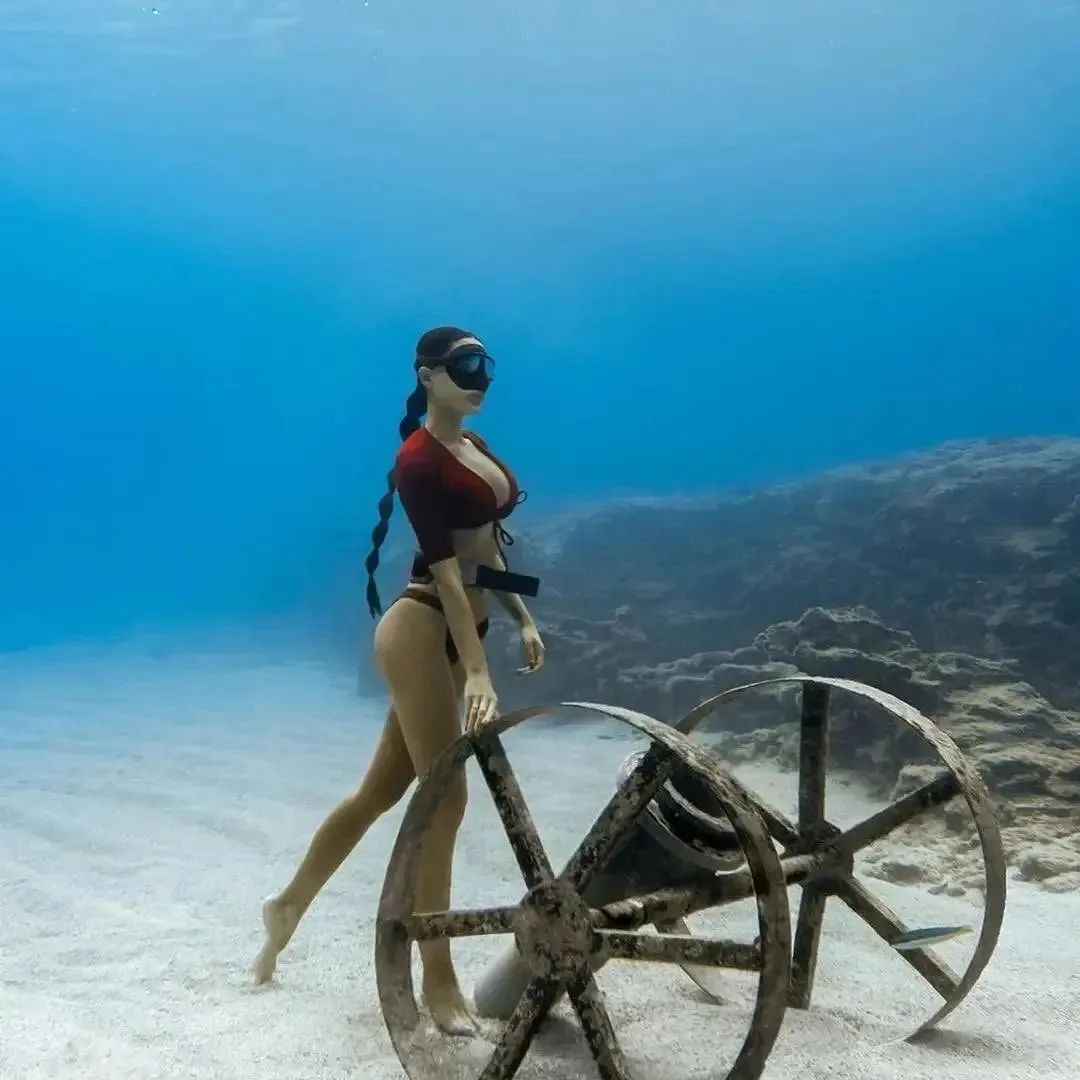 scubadivingyard's tweet photo. Let's diving 🤿
.
.
.
.
 
#diving #divingtrip #divingboard #divinglife #divingdeep #divingwatch #divingisfun #divingday #divingin #divingshop https://t.co/ZCTCWuPJAS