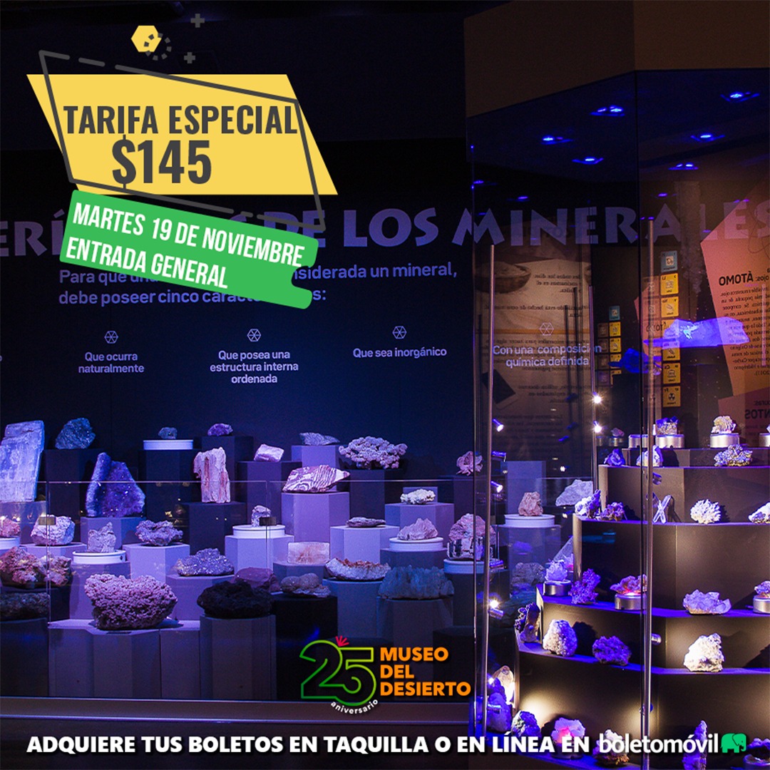 Museo del Desierto 🦖 tweet media
