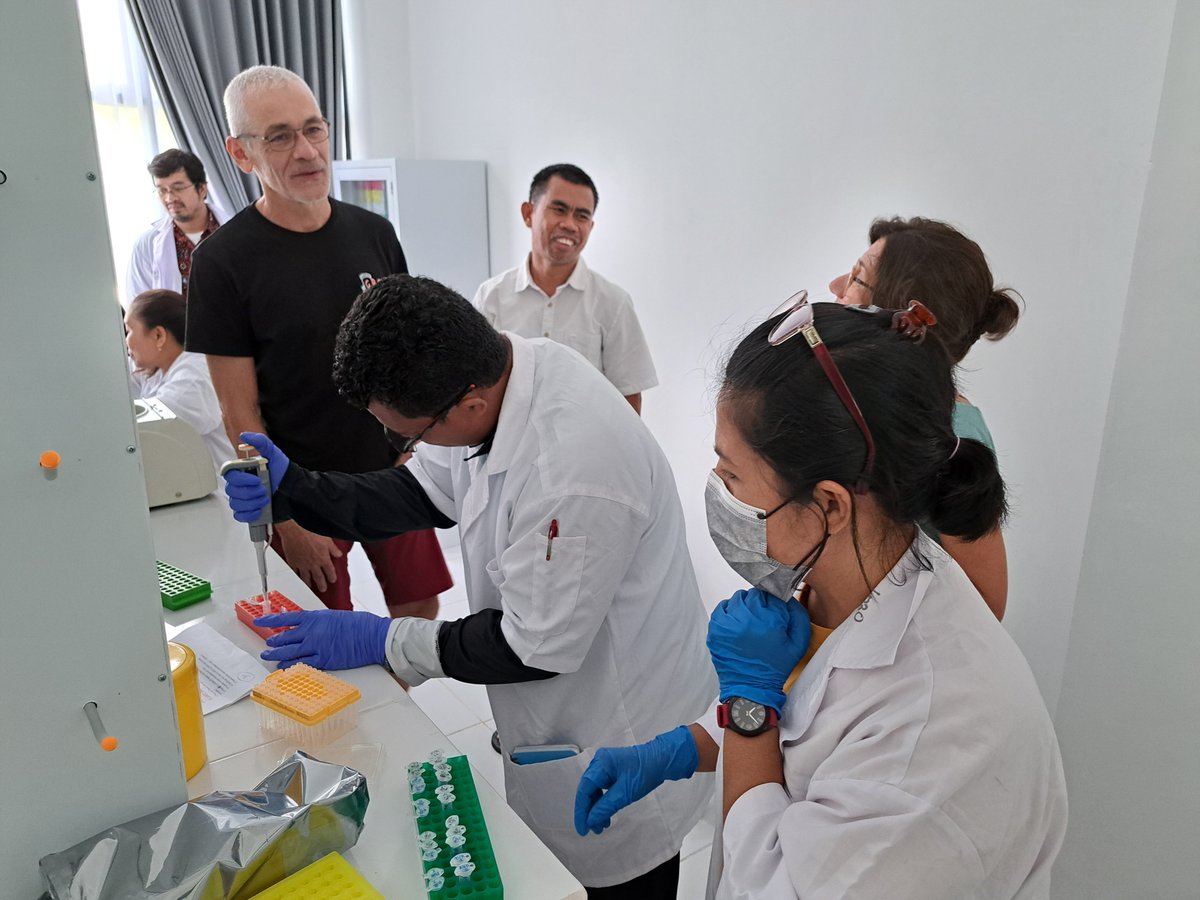 SELAMAT International Joint Laboratory (@selamatijl) on Twitter photo First successful amplifications in the newest integrated laboratory of Politeknik KP Sorong within the new Molecular Biology Basics training led by Dr. Christine Félix & Dr. Laurent Pouyaud <a href="/umrMARBEC/">Marbec</a> <a href="/umontpellier/">Université de Montpellier</a> <a href="/SelamatIJL/">SELAMAT International Joint Laboratory</a> 11-12 Nov 2024 #Capacitybuilding First successful amplifications in the newest integrated laboratory of Politeknik KP Sorong within the new Molecular Biology Basics training led by Dr. Christine Félix & Dr. Laurent Pouyaud <a href="/umrMARBEC/">Marbec</a> <a href="/umontpellier/">Université de Montpellier</a> <a href="/SelamatIJL/">SELAMAT International Joint Laboratory</a> 11-12 Nov 2024 #Capacitybuilding
