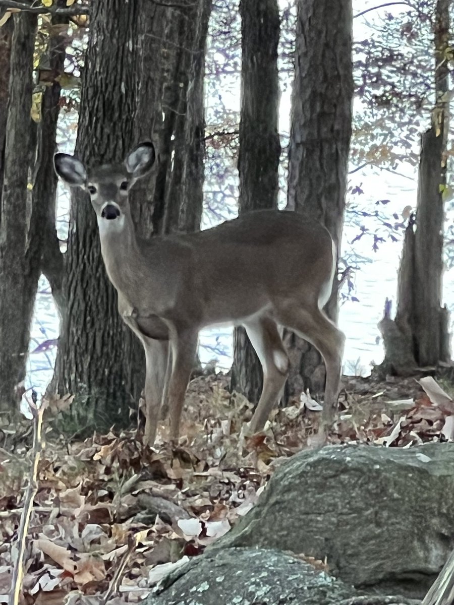 Melissa Roberts tweet media