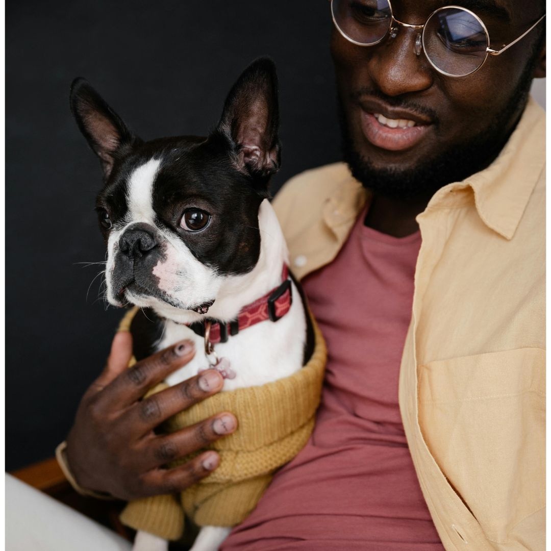 PamperedPetsBaz's tweet photo. Five Furry Hurdles That Made My Bestie a Paw-some Pet Owner

https://t.co/1YzZpdlOJJ 
Sign up on our site for a 10% Discount!

#PetParenting #FurryFriends #LoveMyPet https://t.co/QPoxrD2raR