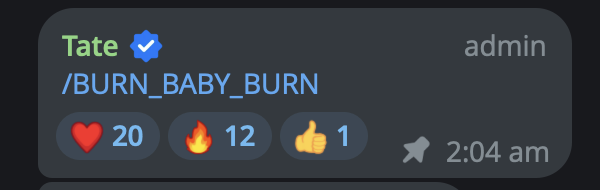 GSolanaDog's tweet photo. I want $G to burn the tokens..  @Cobratate 

Video of $G pressing the burn button pls

(whilst playing stunt 101 by $G Unit) thx 🐶 https://t.co/MUTV8YEEfX