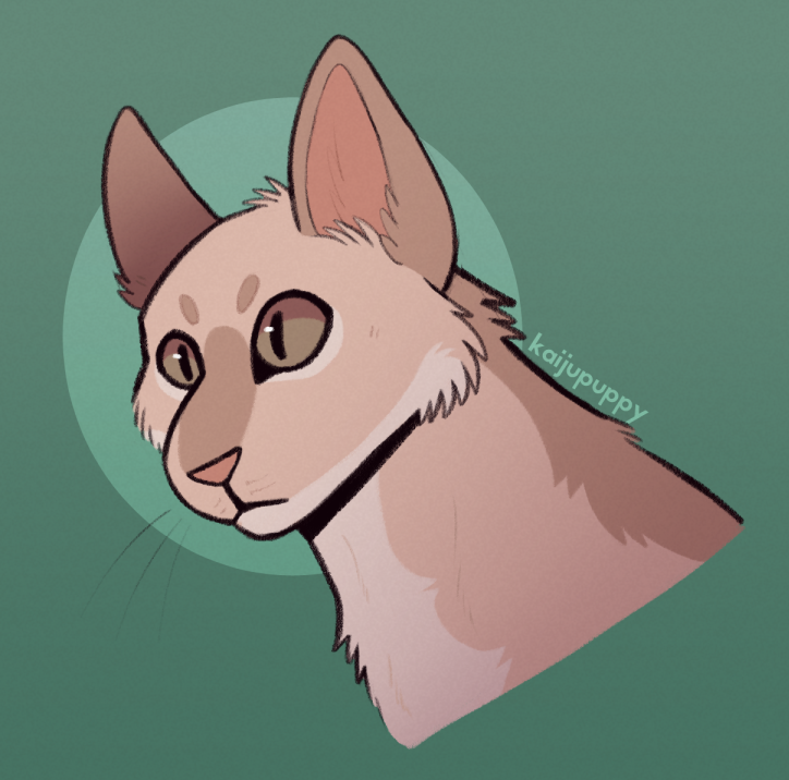 Artfight for MidNight20