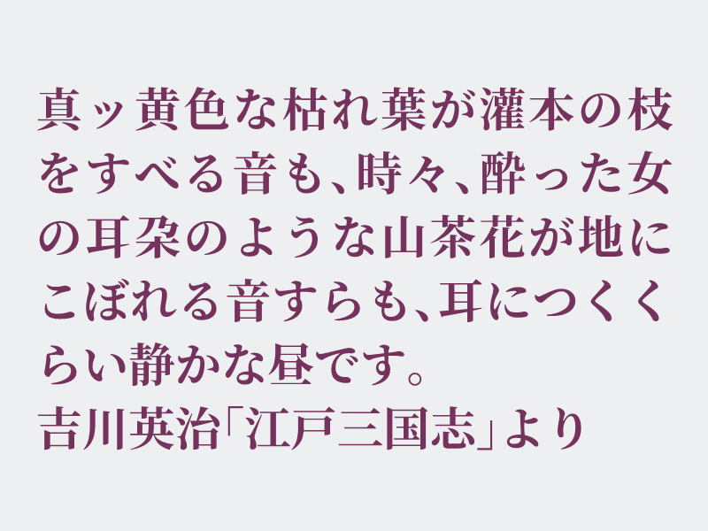 img_shosha's tweet photo. No.1001 吉川英治「江戸三国志」より #空想書写
山茶花(さざんか)と椿は見た目がそっくりで見分けがつきにくいですね。椿は花がボロっと塊りで落ちるのに対して山茶花は花びらがハラハラと落ちる違いがあるそうです。見分けたかったら花より地面を見た方が分かりそうですね。それでは、どうぞ。 https://t.co/EVv9ZBprRc
