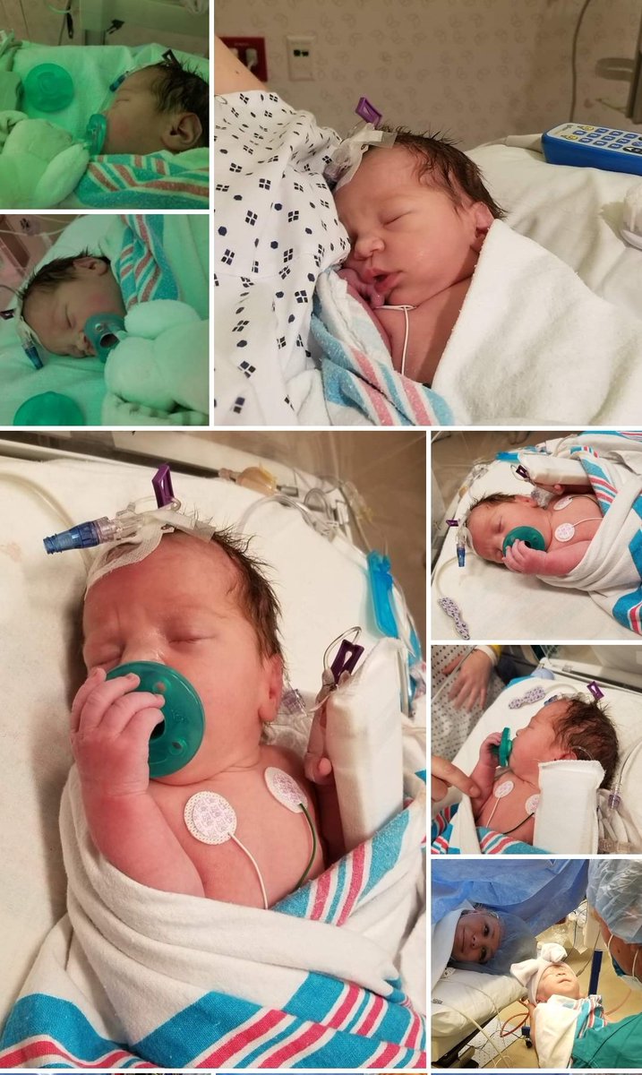 Tenacious Tiff tweet media