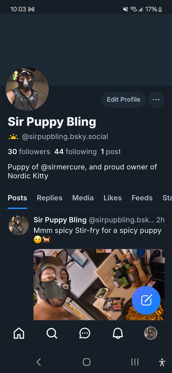 SirPupBling's tweet photo. Come find me in the sky 🐕 https://t.co/EVlbtIaNp2
