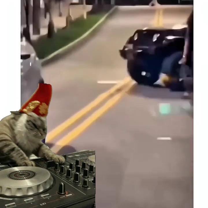 DJCAT $SCRATCH tweet media