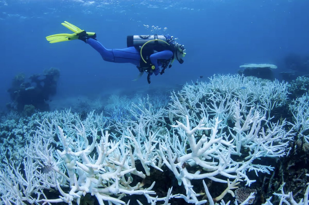 Maddie Edgar tweet media