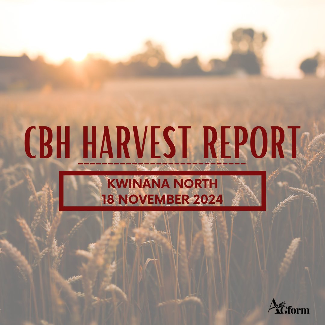 AGformau's tweet photo. CBH's latest harvest report shows last week was a ripper week for Kwinana North, with this rain hanging around now, next week's report will tell a different story!
#Harvest2024 #AGform #AGformAU https://t.co/Xc1swBLZUe