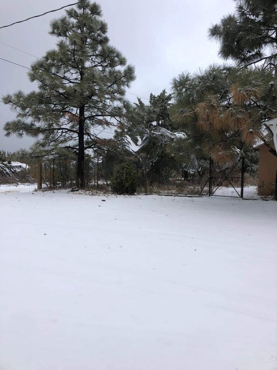 El Mitotero tweet media