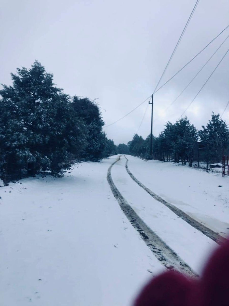 El Mitotero tweet media