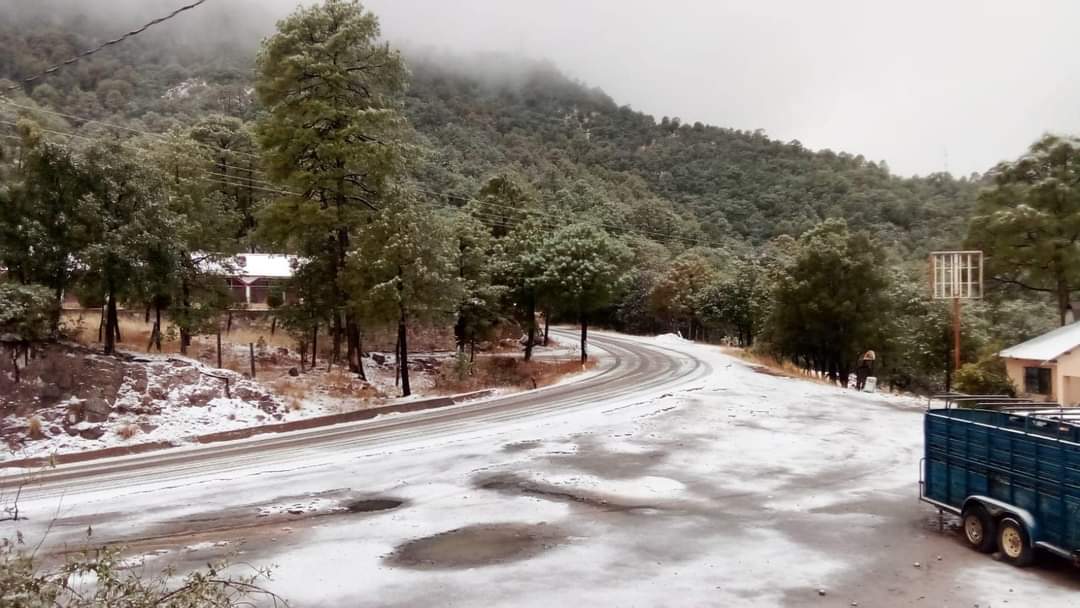 No es Alaska es Yécora, Sonora 😍

La primera tormenta invernal en nuestra entidad nos regaló una bella postal desde la sierra sur de Sonora.

Yécora es solo un ejemplo de los hermosos paisajes nevados que podemos encontrar en nuestro bello estado. 

#ElMitotero
