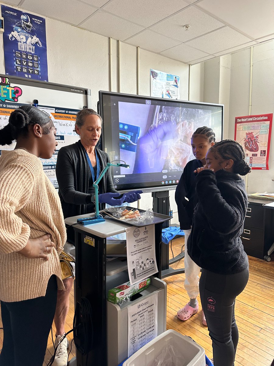 Shawnee Middle School Explore Health Science students are learning about joints, muscles and ligaments by dissecting chicken wings. <a href="/exploreshawnee/">Explore Pathways at Shawnee MS</a> <a href="/ShawneeAcademy/">The Academy @ Shawnee</a> <a href="/JCPSKY/">JCPS</a> <a href="/JCPSExploreEA/">Marcella Minogue</a>