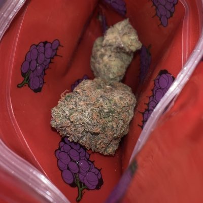 BrotherPablito's tweet photo. #nieuweprofielfoto https://t.co/Po3msRl4Uo