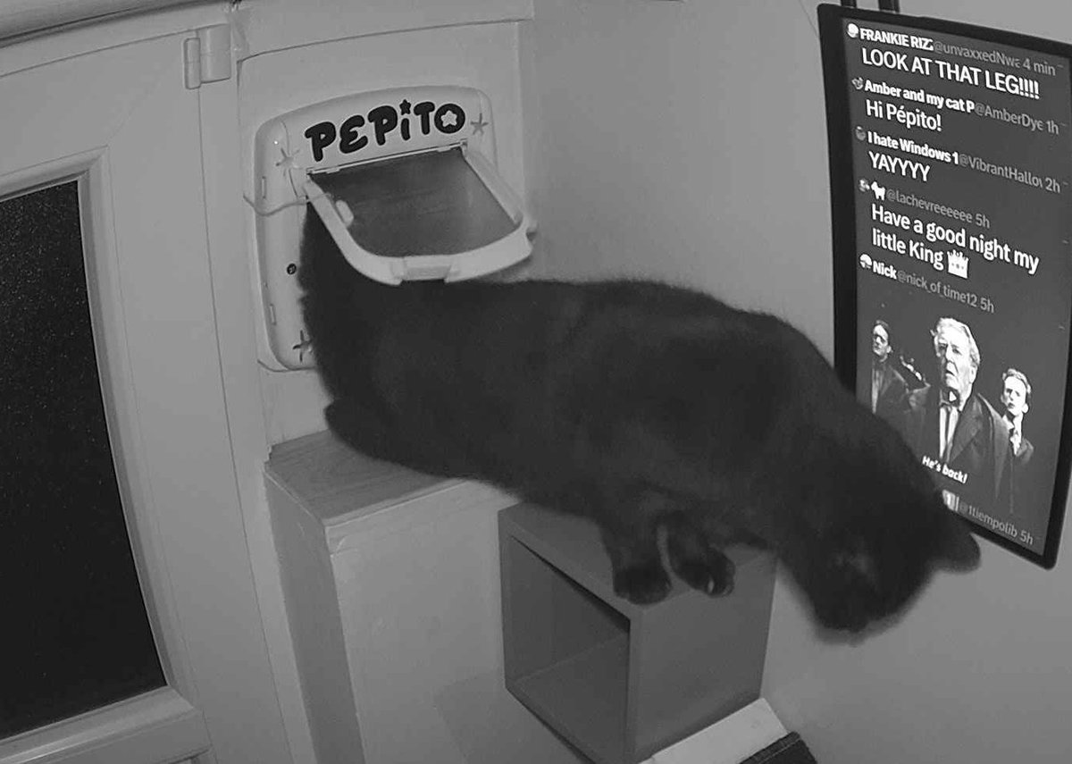 Pépito tweet media