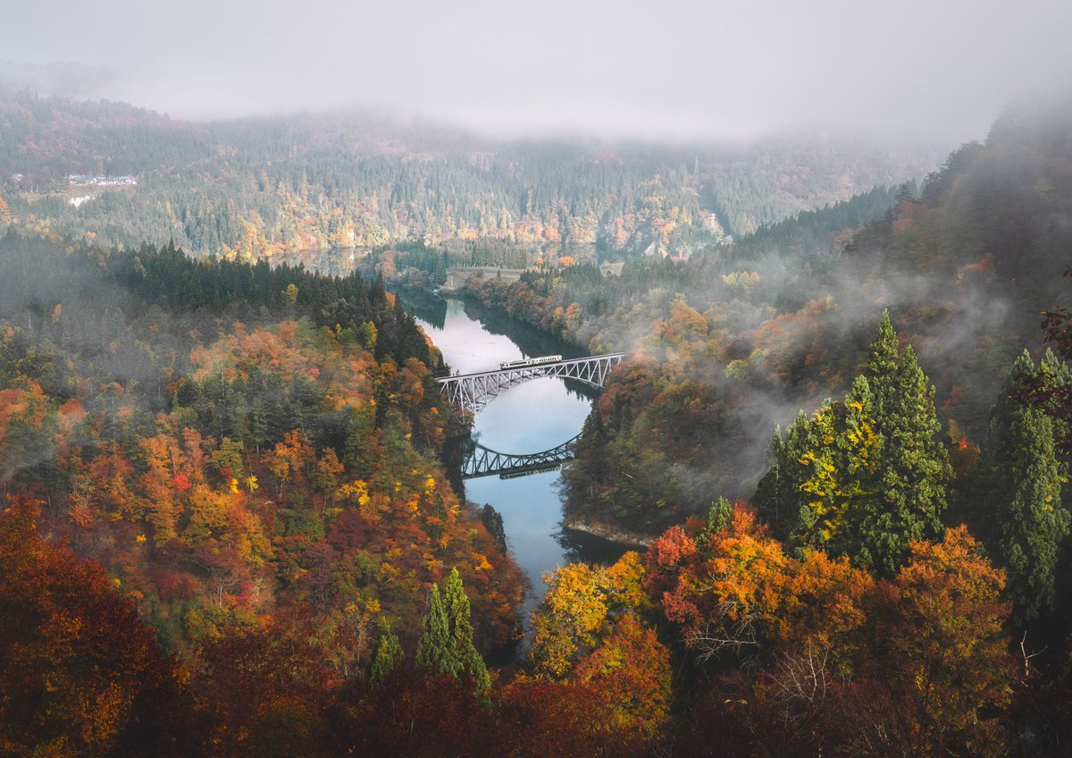 Kogame - Takeshi Kameyama tweet media