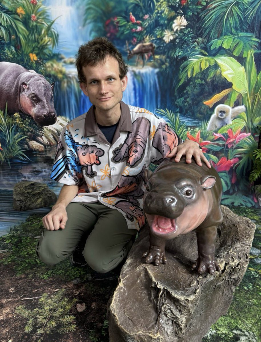 kingmo0x tweet media