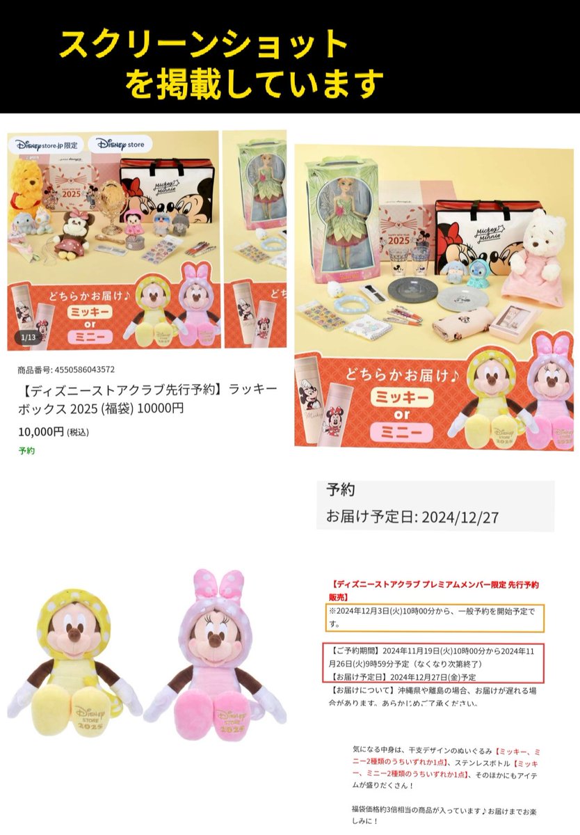 福袋 〉本日〜 先行予約(ディズニーストアクラブ #ディズニーストア.jp