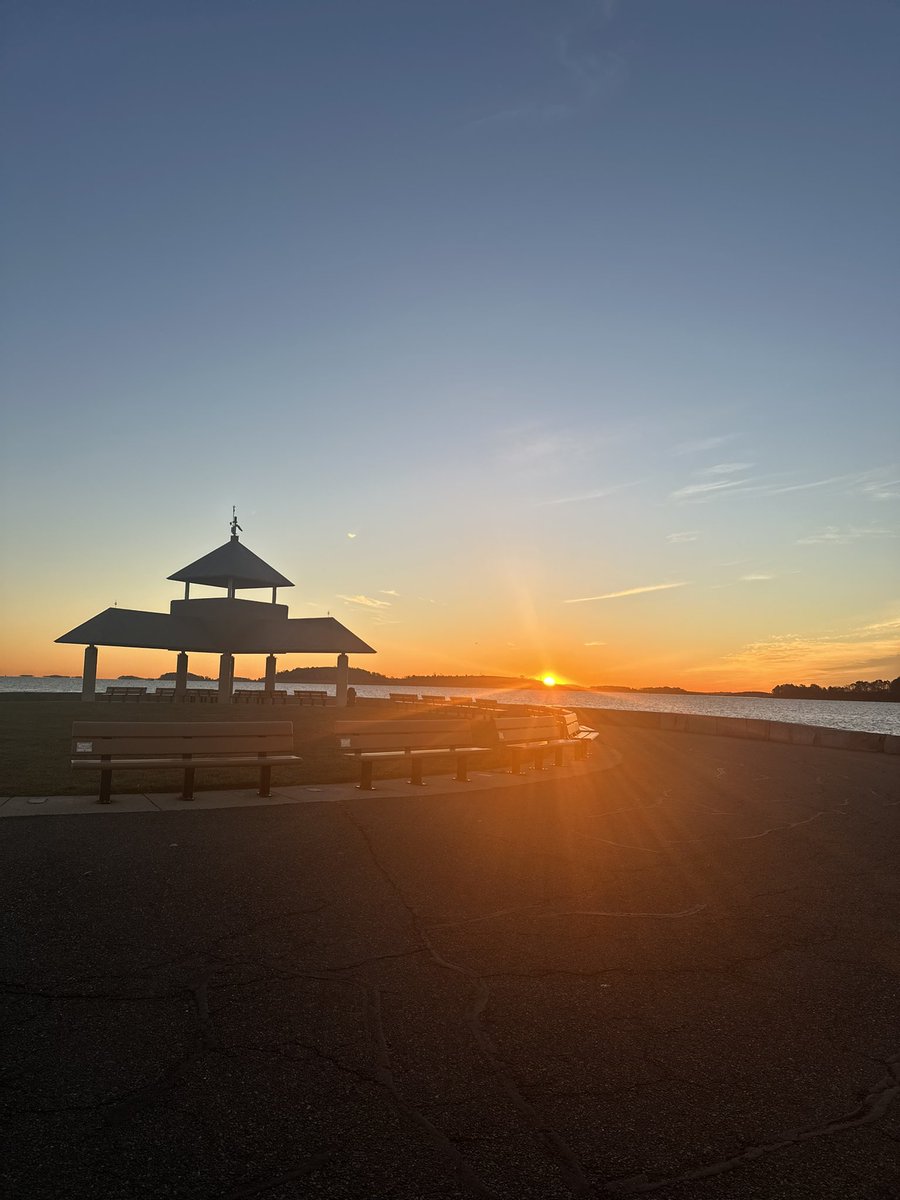 Nicole DiMaggio tweet media