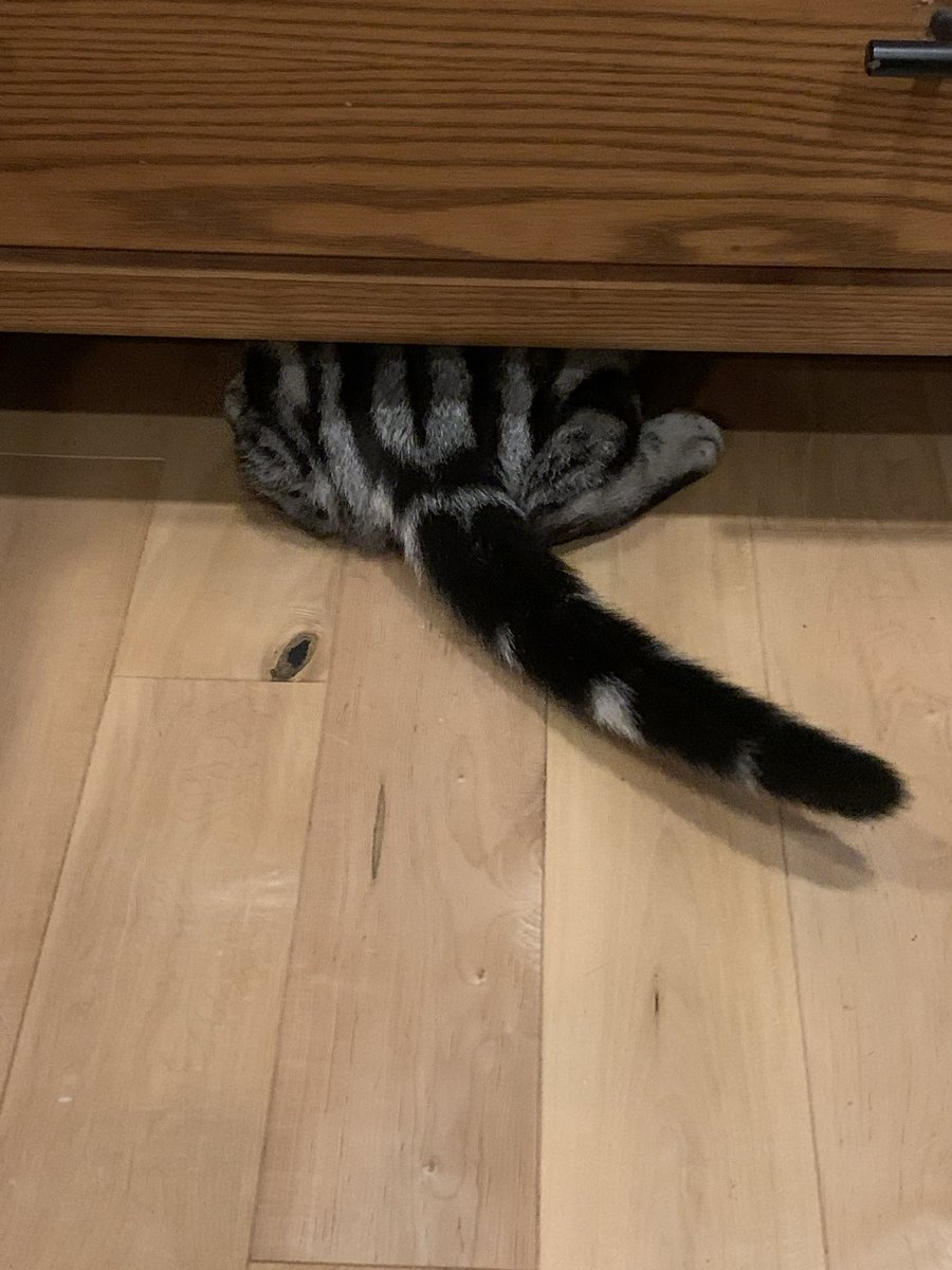 GTWScar's tweet photo. I see you https://t.co/Fei1UTeAHc