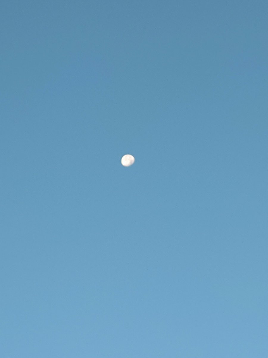 kanaeteri's tweet photo. おっはよーございまーす☀

朝のお月さま
欠けてはいるけれど
エネルギーをすごく感じる

私は私を生きる
これに尽きる…と感じた朝です

いってきまーす！✨ https://t.co/0tFDgcFptr