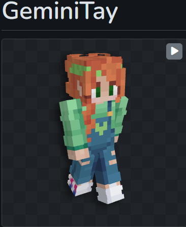 heyitsgecko's tweet photo. //name mc spoilers
.
.
whos surprised ? https://t.co/D2pINH4w1I