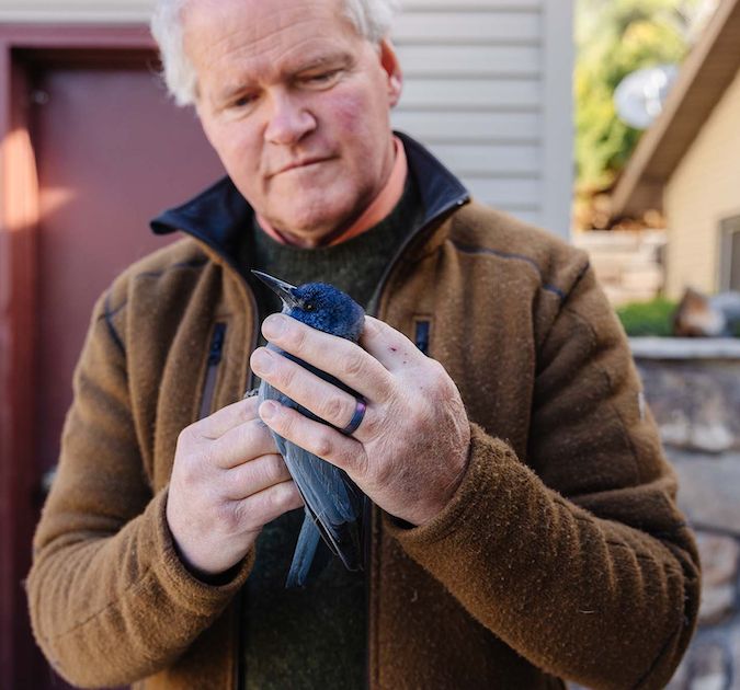 BSUResearch's tweet photo. “By the time I was five, I knew that I would either be a biologist or I would be Glen Campbell, because True Grit had just come out. By the time I was seven I was banding Brewer’s blackbird nestlings with bread bag twist ties,” said alum Eric Atkinson. https://t.co/50n93SU2Xl https://t.co/LmXi7ZNgxY