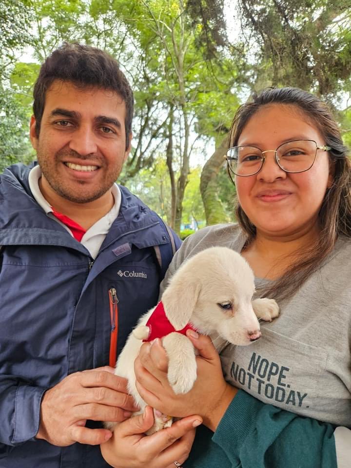Animals Hope tweet media
