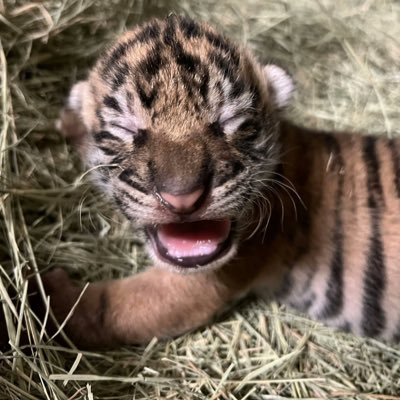 solmemechick's tweet image. #NewProfilePic