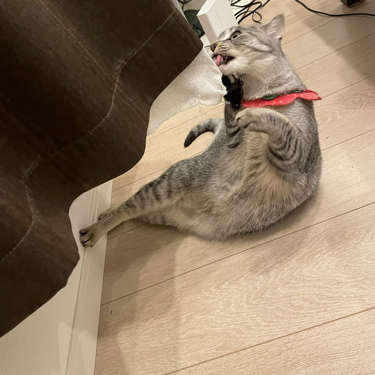 yes_non28's tweet photo. 頑張ったけど諦めてた https://t.co/fw45m8MONE