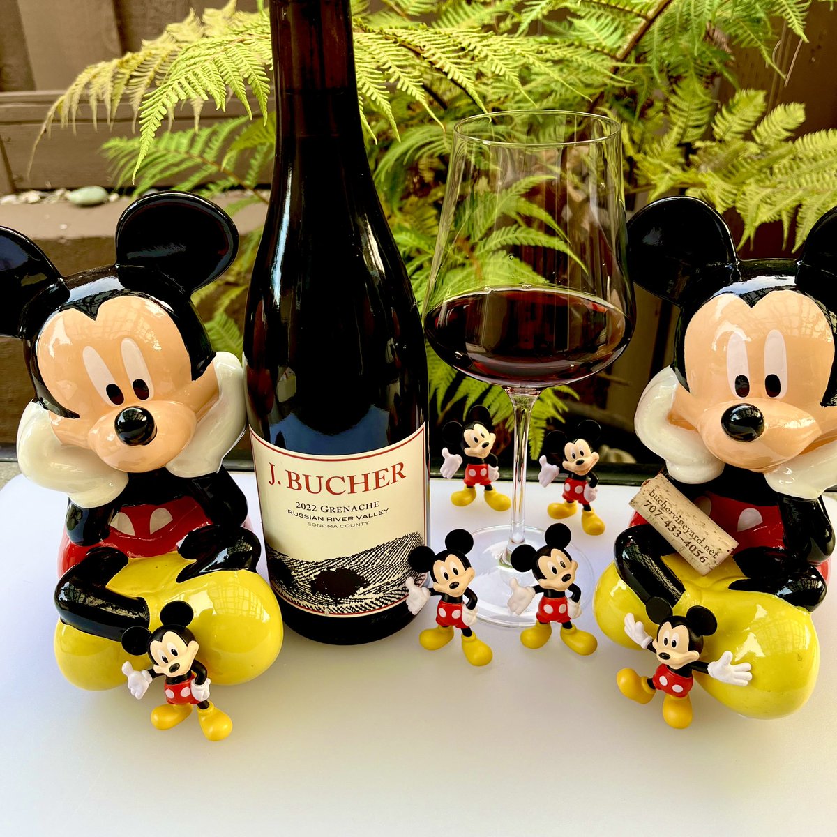 My #MondayMotivation is celebrating #MickeyMouseDay with this 2022 <a href="/BucherVineyard/">Bucher Wines</a> grenache from the Russian River Valley. Adam Lee is their winemaker. There are aromas of red plum, orange zest and pepper with tastes of cranberry, red licorice and cumin. Cheers <a href="/jflorez/">Joe Florez</a> <a href="/AskRobY/">Rob</a>