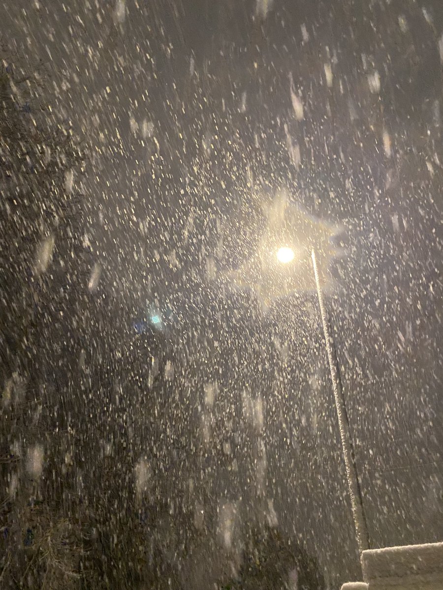 Lenton DNRA 💙 tweet media