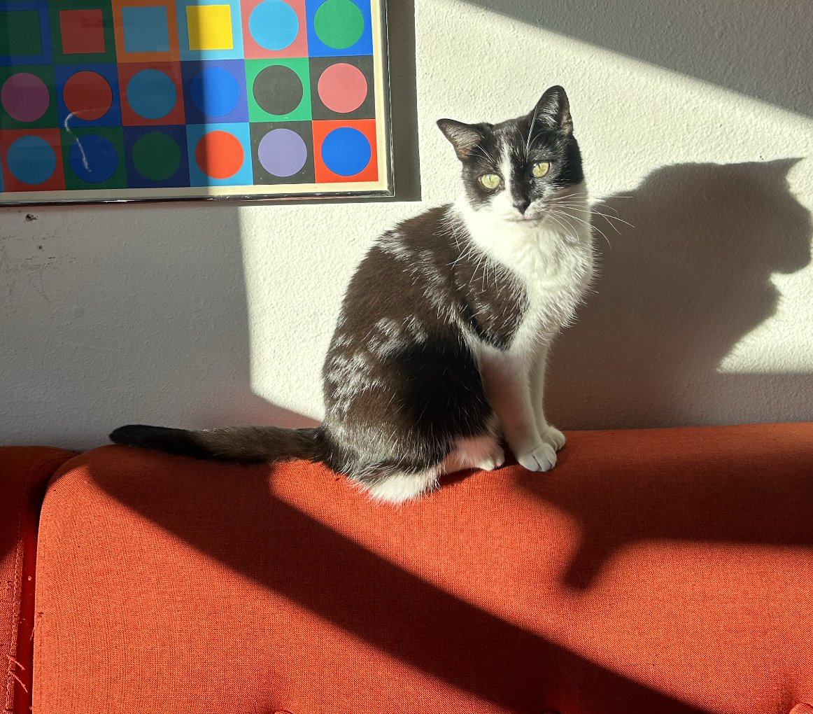 Olivia Johnson tweet media