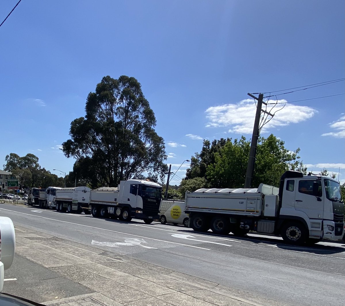 Sonja Terpstra MP 🐓 tweet media