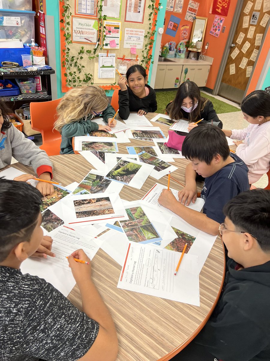 ChilenMegan's tweet photo. Our thinking is growing! 👩‍⚕️🪵🧡@OpenSciEd https://t.co/iAmOvWZNaQ