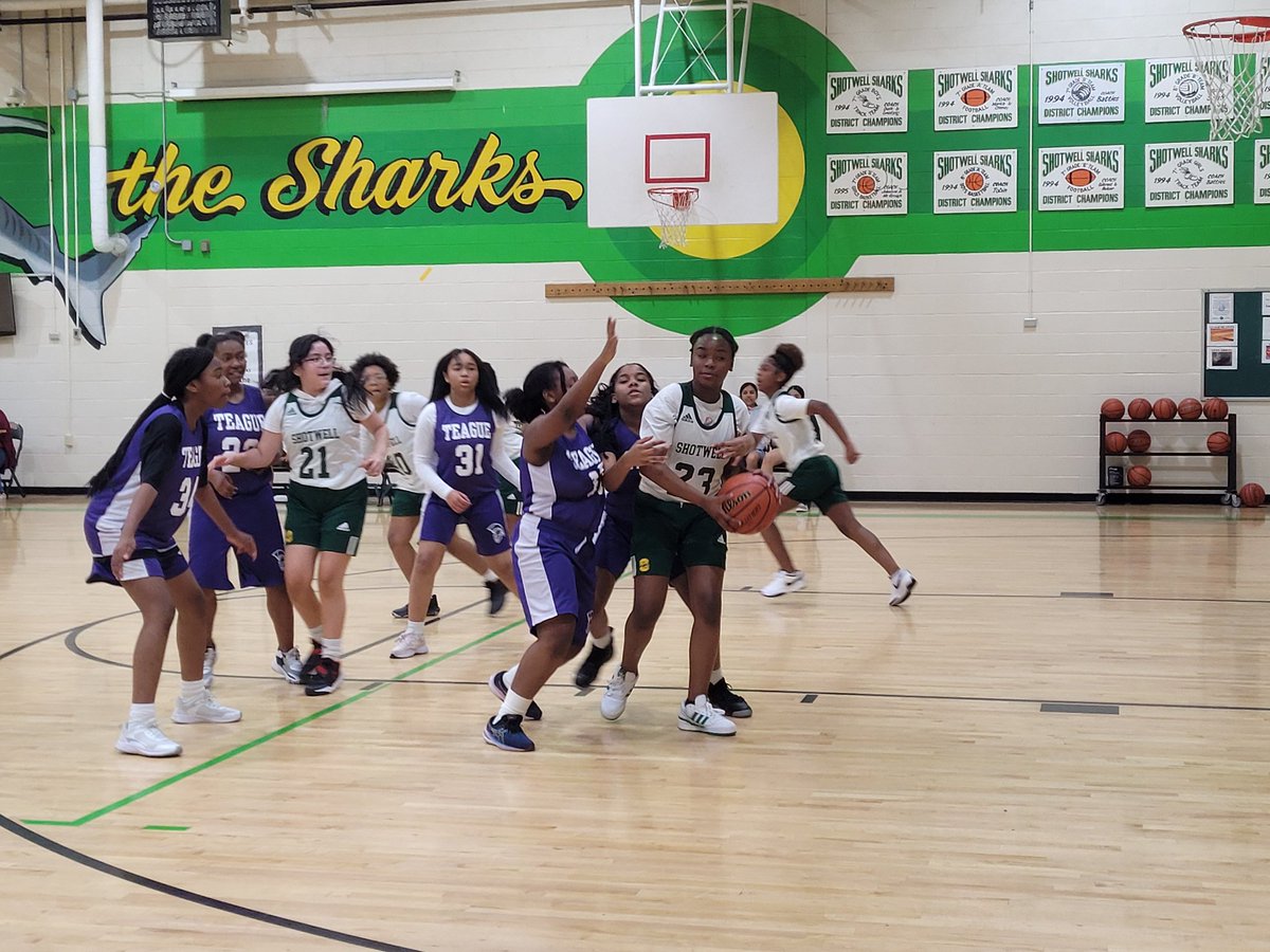 Shotwell Shark News (@shotwellnews) on Twitter photo Happening Now! <a href="/ShotwellMS_AISD/">Shotwell Middle School - Aldine ISD</a> Go! Fight! Win! 7th grade B Team Lady Sharks! Happening Now! <a href="/ShotwellMS_AISD/">Shotwell Middle School - Aldine ISD</a> Go! Fight! Win! 7th grade B Team Lady Sharks!