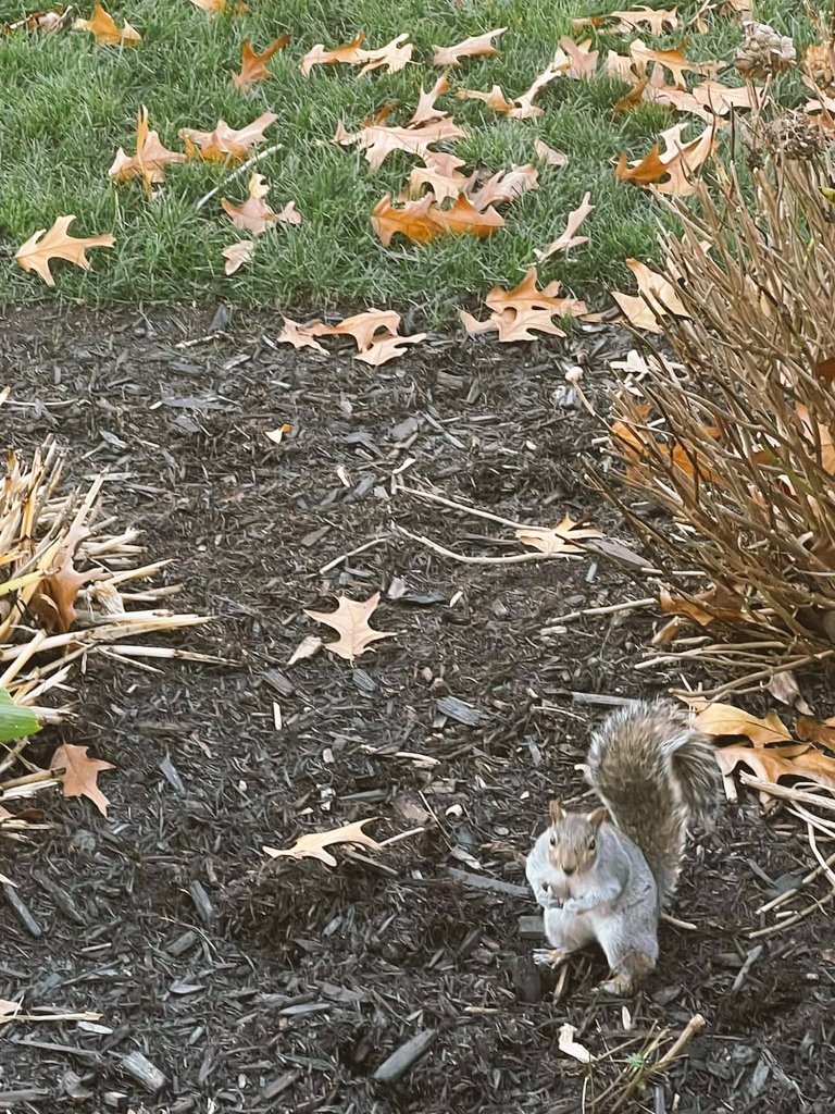 ਦੀਪ ਸੰਧੂ Deep K Sandhu tweet media