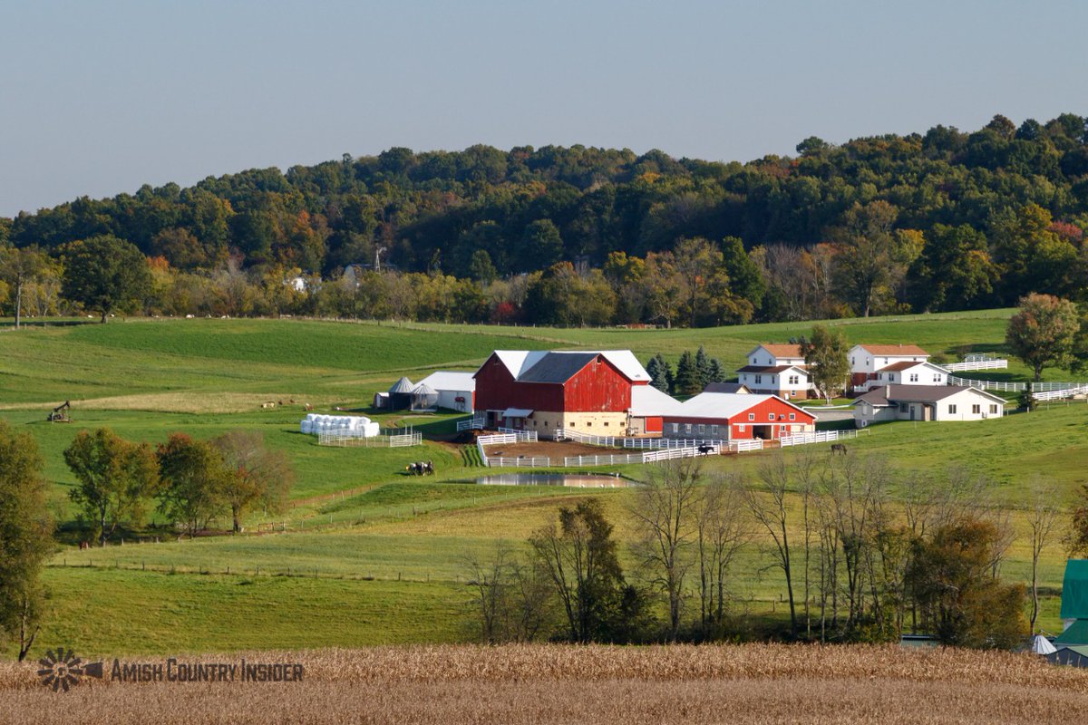 An Amish farm near Winesburg, Ohio.
#amishcountryinsider #amishcountry #amish