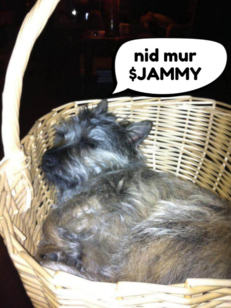 JammySOL's tweet photo. gib moar $JAMMY pls https://t.co/HPzBIO4DSj