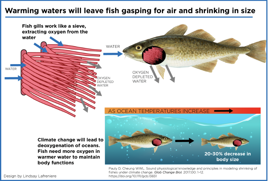 Ella Jackson tweet media